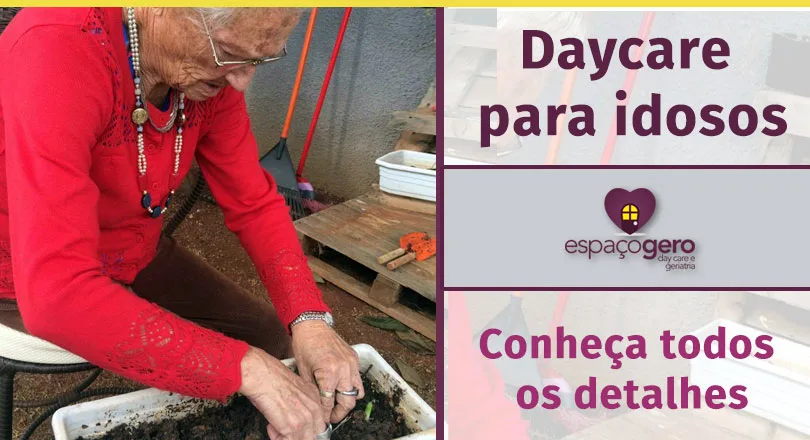 Leia mais sobre o artigo Conheça o que é e como funciona, em detalhes, um Centro Dia/Daycare